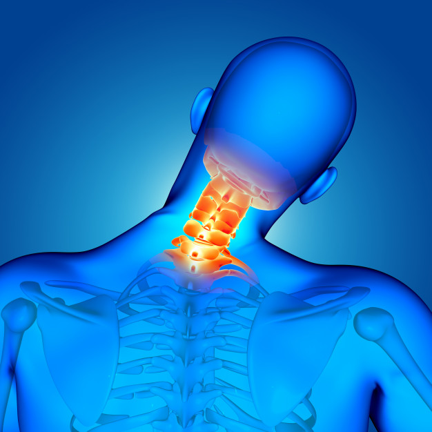 neck