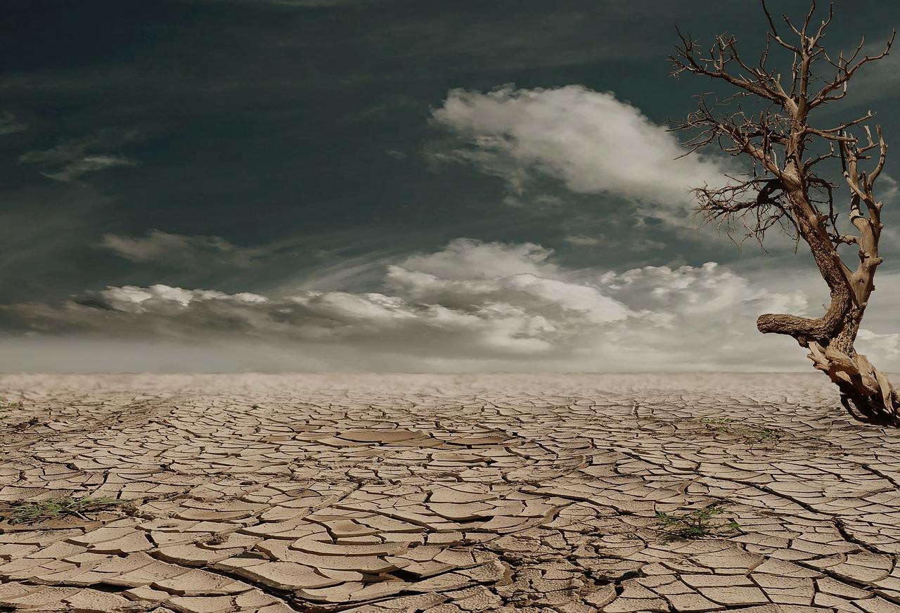 cambiam climatici