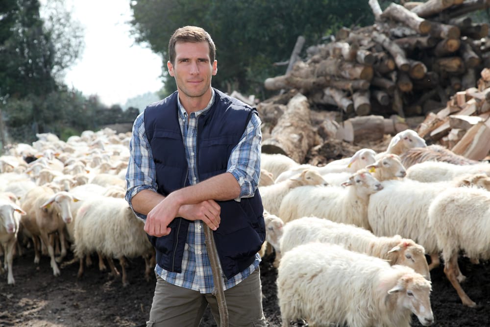 PecorePastore