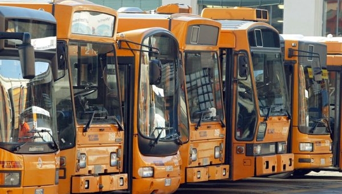 TPL-rv_0
