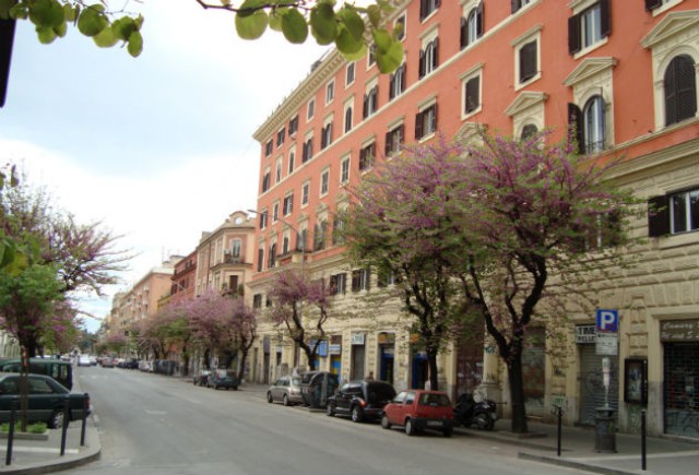 tiburtina