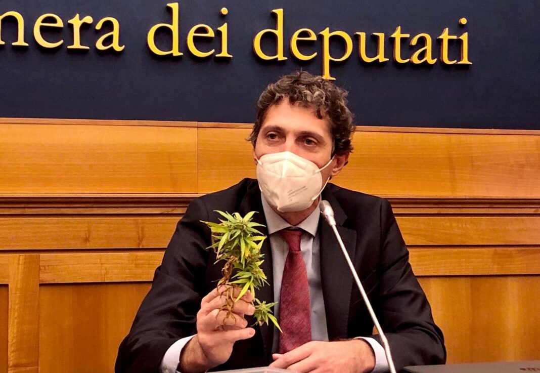 Riccardo-Magi-cannabis