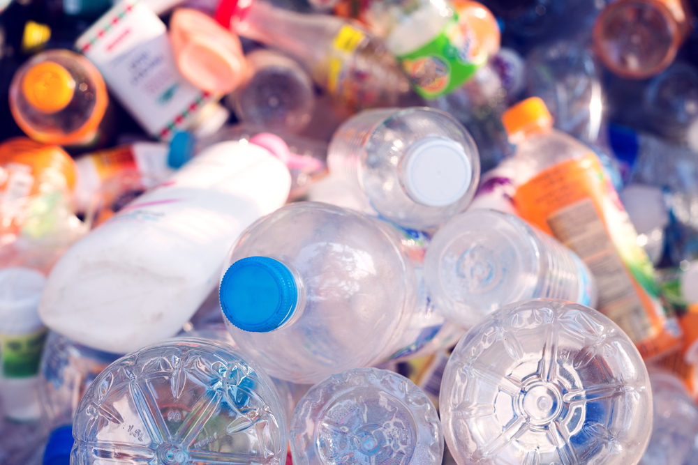 Plastic,Bottle,In,Recycle,Bin,waste,Management,Concept.