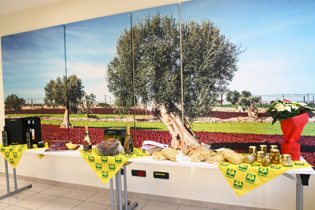 COLDIRETTI BILANCIO ANNATA AGRARIA 2022 TRA GUERRA E CLIMA PAZZO