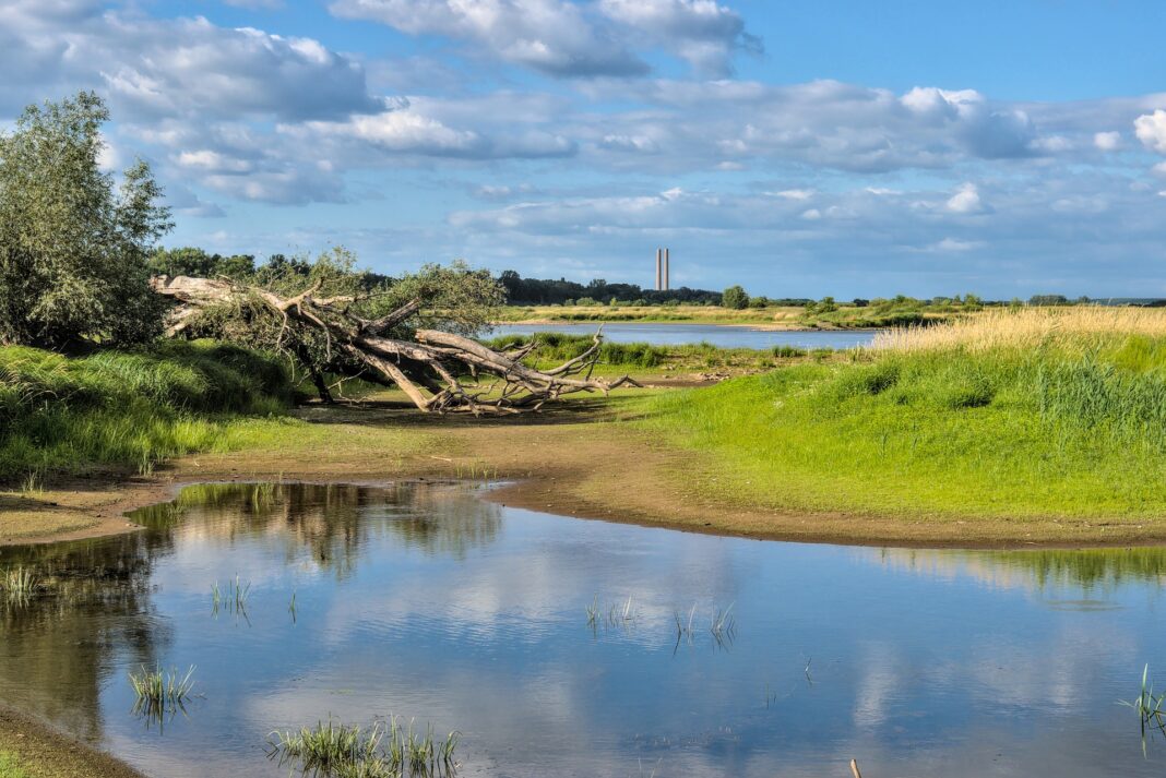 flow-gc7cd1d697_1920