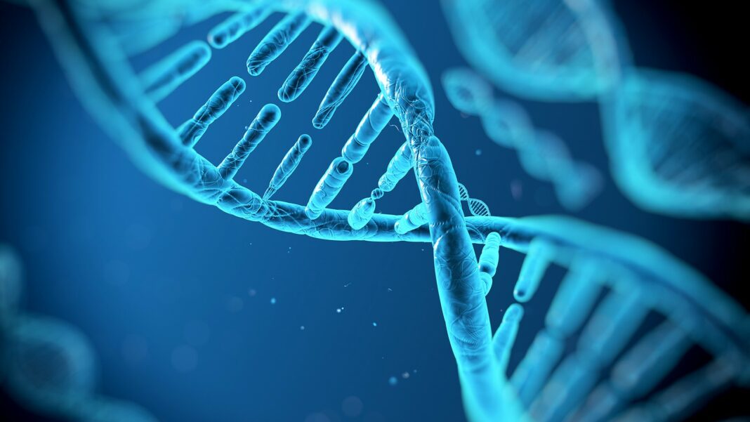 La doppia elica della vita. Il Dna compie 70 anni