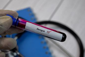 Dengue Italia, salgono casi a Roma e nel Lazio: allerta dei medici
