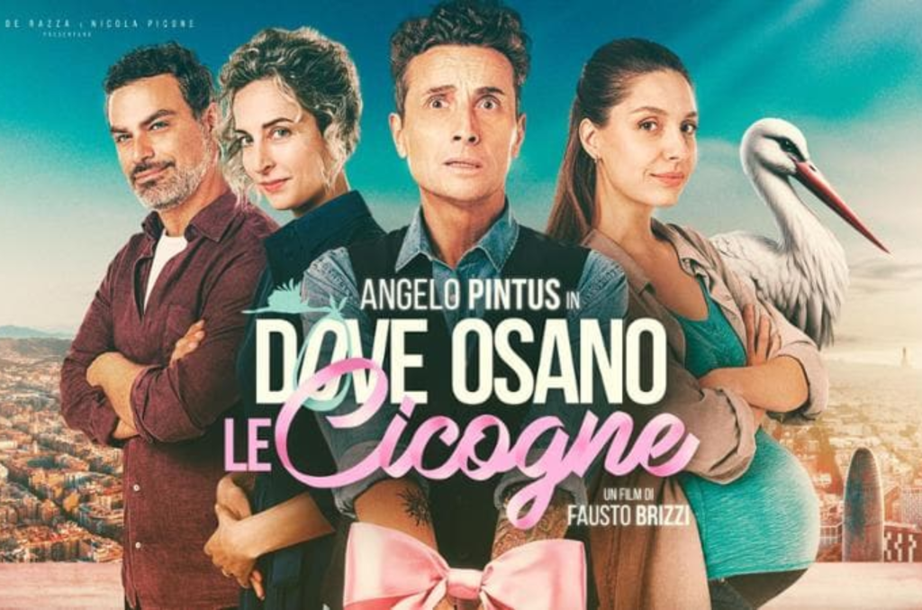 dove non osano più le cicogne c è il cinema di fausto brizzi da Lidentita.it dove non osano più le cicogne c è il cinema di fausto brizzi