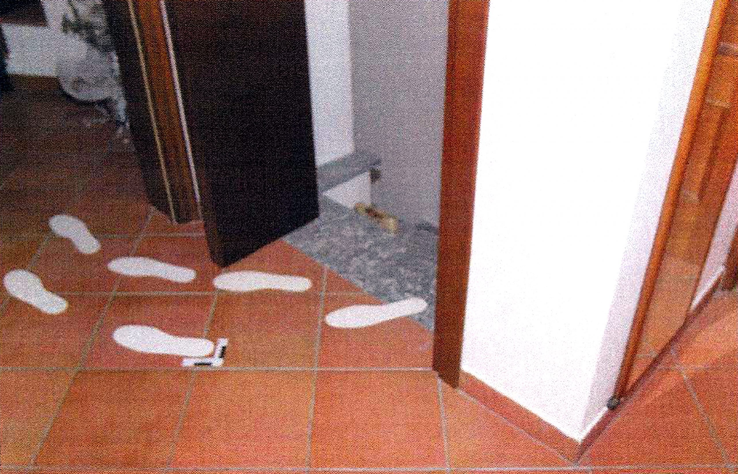 Delitto di Garlasco, trovata un’impronta palmare di Sempio sul muro vicino al corpo di Chiara Poggi Delitto di Garlasco, trovata un’impronta palmare di Sempio sul muro vicino al corpo di Chiara Poggi