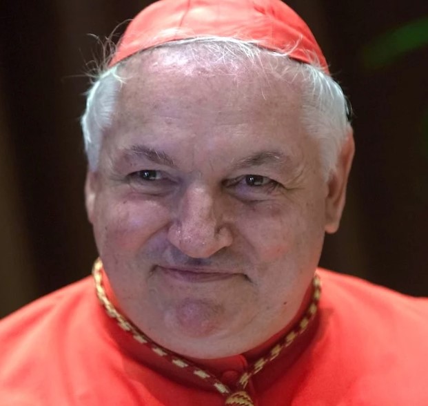 Verso il Conclave: cardinali in riunione, il “miracolo” della borsa rubata al papabile Aveline Verso il Conclave: cardinali in riunione, il “miracolo” della borsa rubata al papabile Aveline