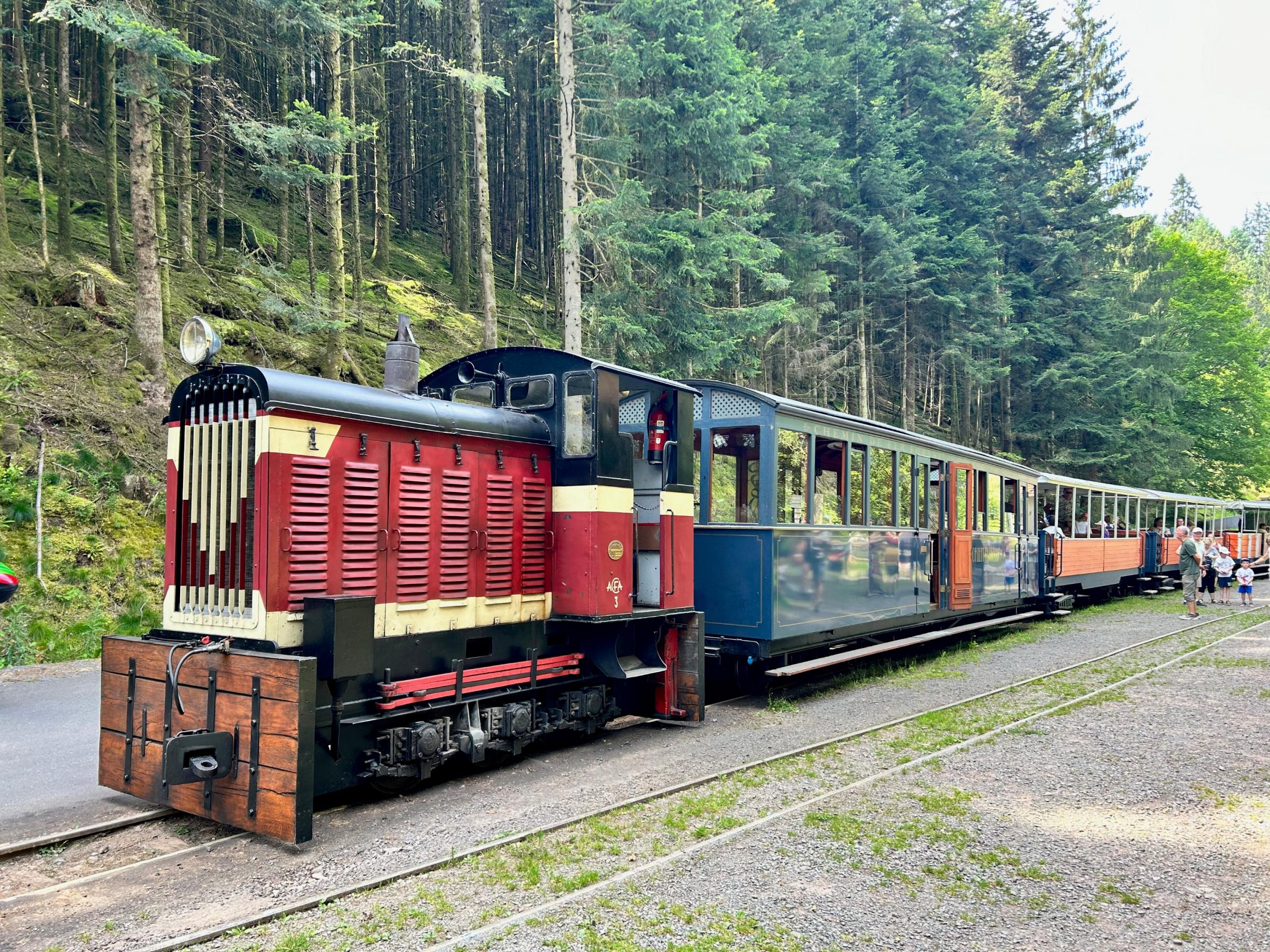 Sul Trenino della Foresta di Abreshviller sei chilometri di bellezza a ritroso nel tempo Sul Trenino della Foresta di Abreshviller sei chilometri di bellezza a ritroso nel tempo