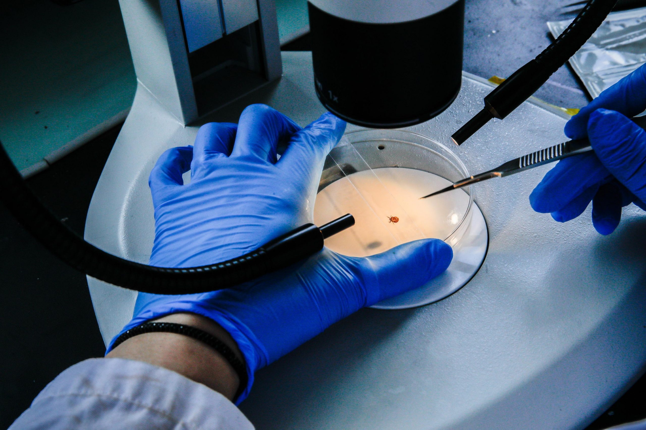 La teoria del “vaccino anti fede” torna virale: ecco perché il rischio biologico è reale La teoria del “vaccino anti fede” torna virale: ecco perché il rischio biologico è reale