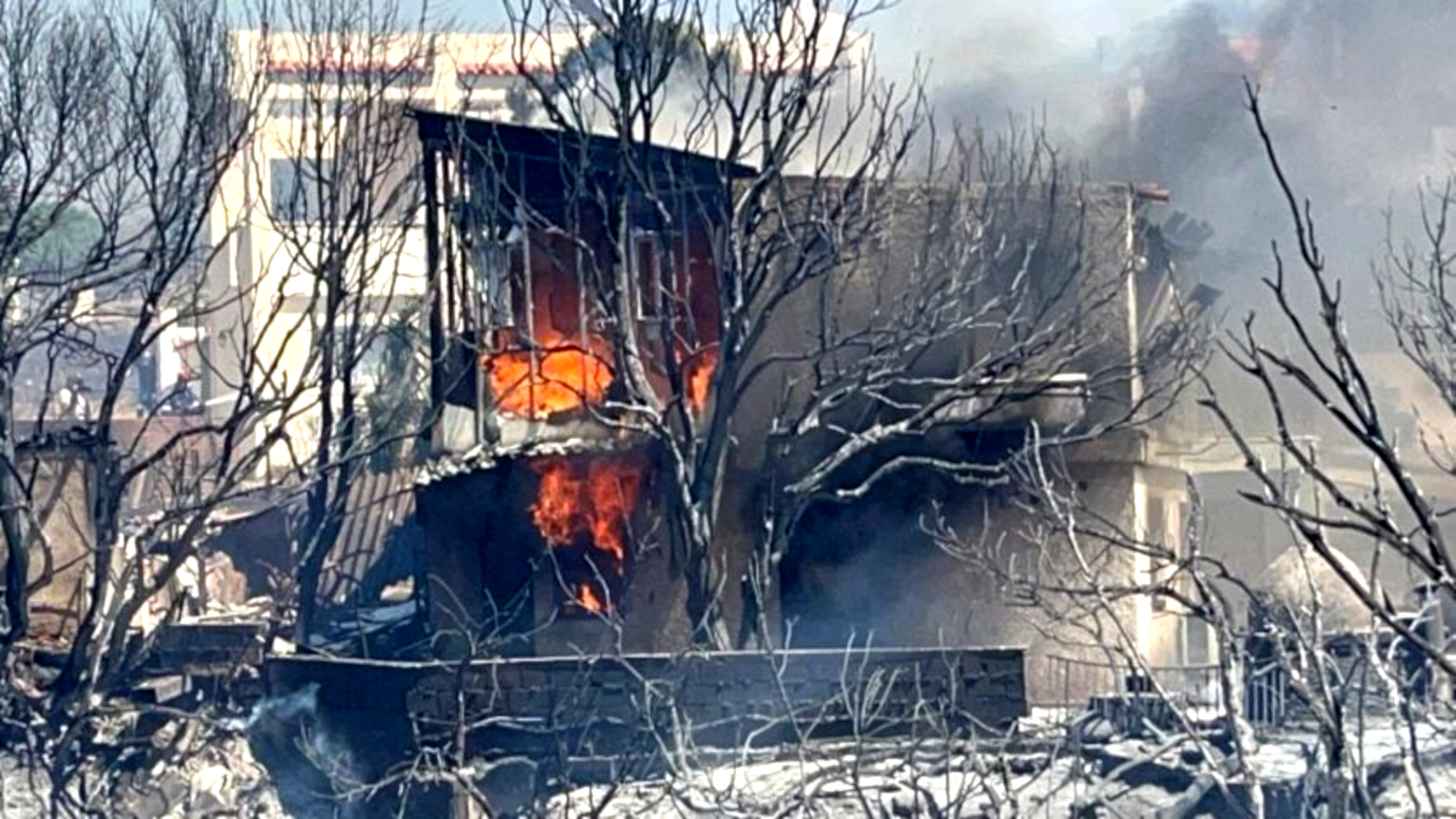 inferno a palaia fokaia un8217intera costa in fiamme evacuazioni in corso