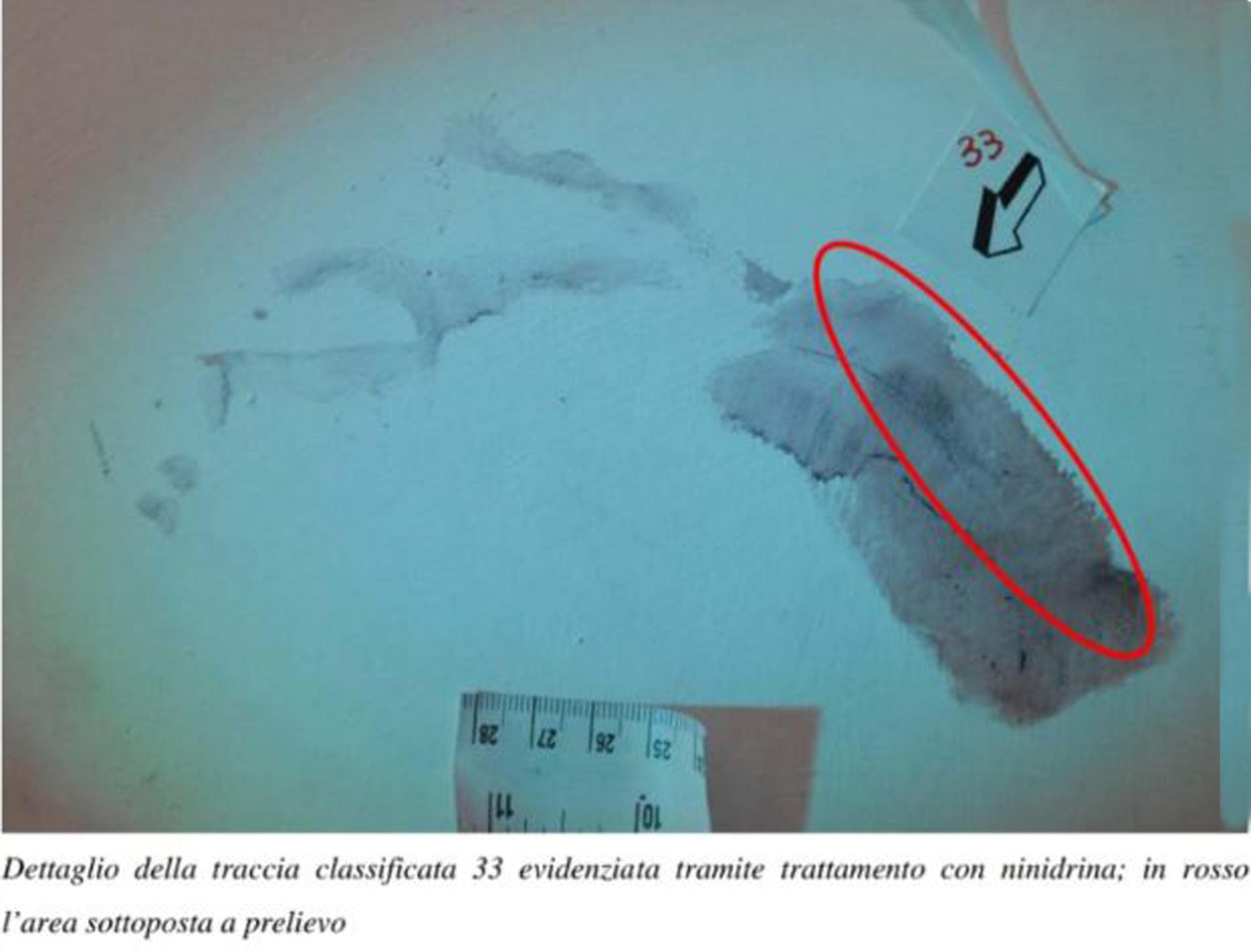 garlasco l8217impronta 33 intrisa di sangue 232 di andrea sempio