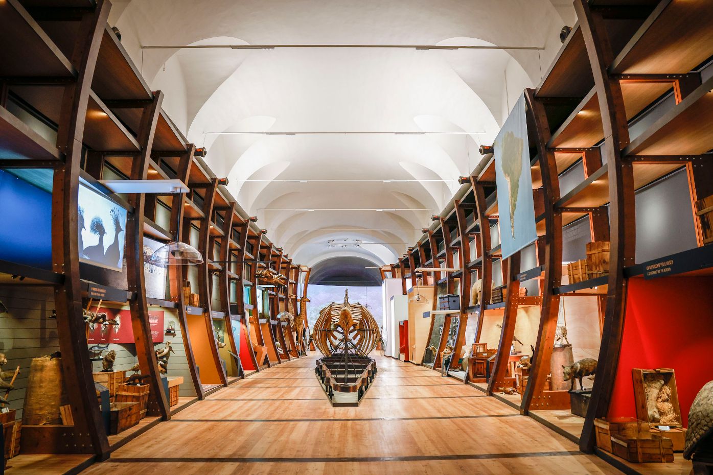 museo di scienze naturali ad agosto si visita gratis