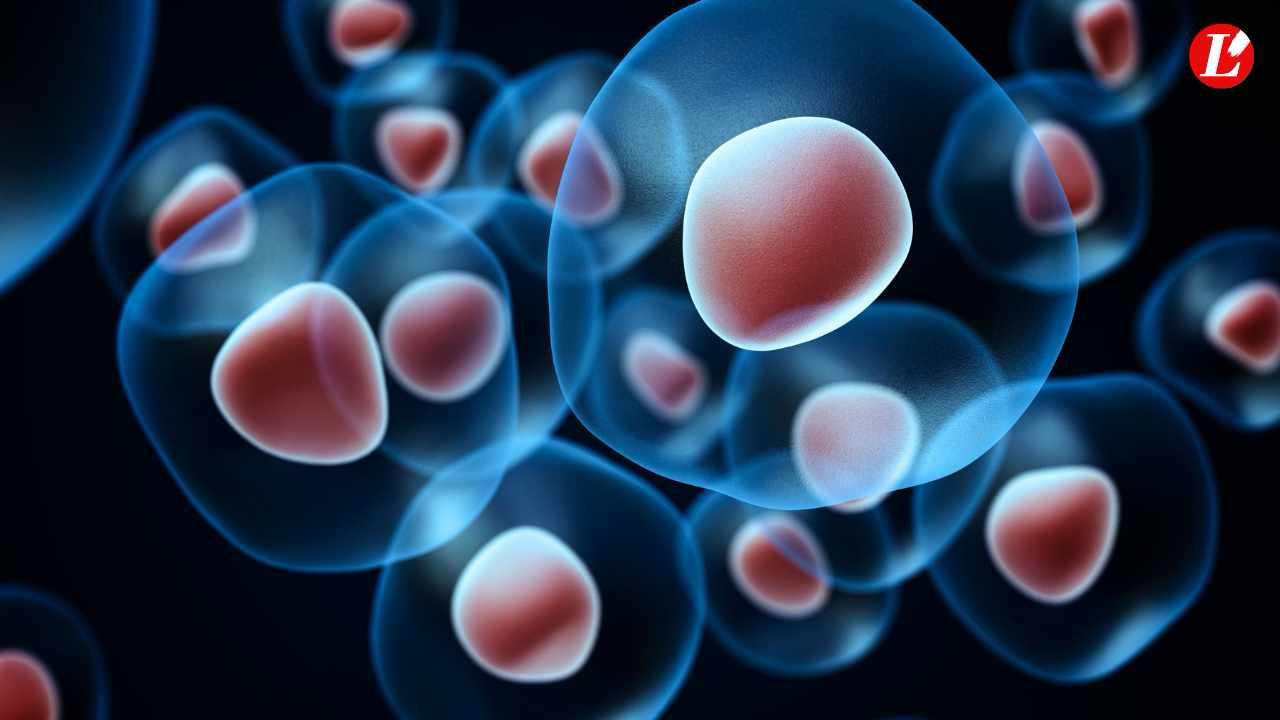 esosomi la rivoluzione silenziosa dalla cosmetica alla nutraceutica il futuro 232 microscopico