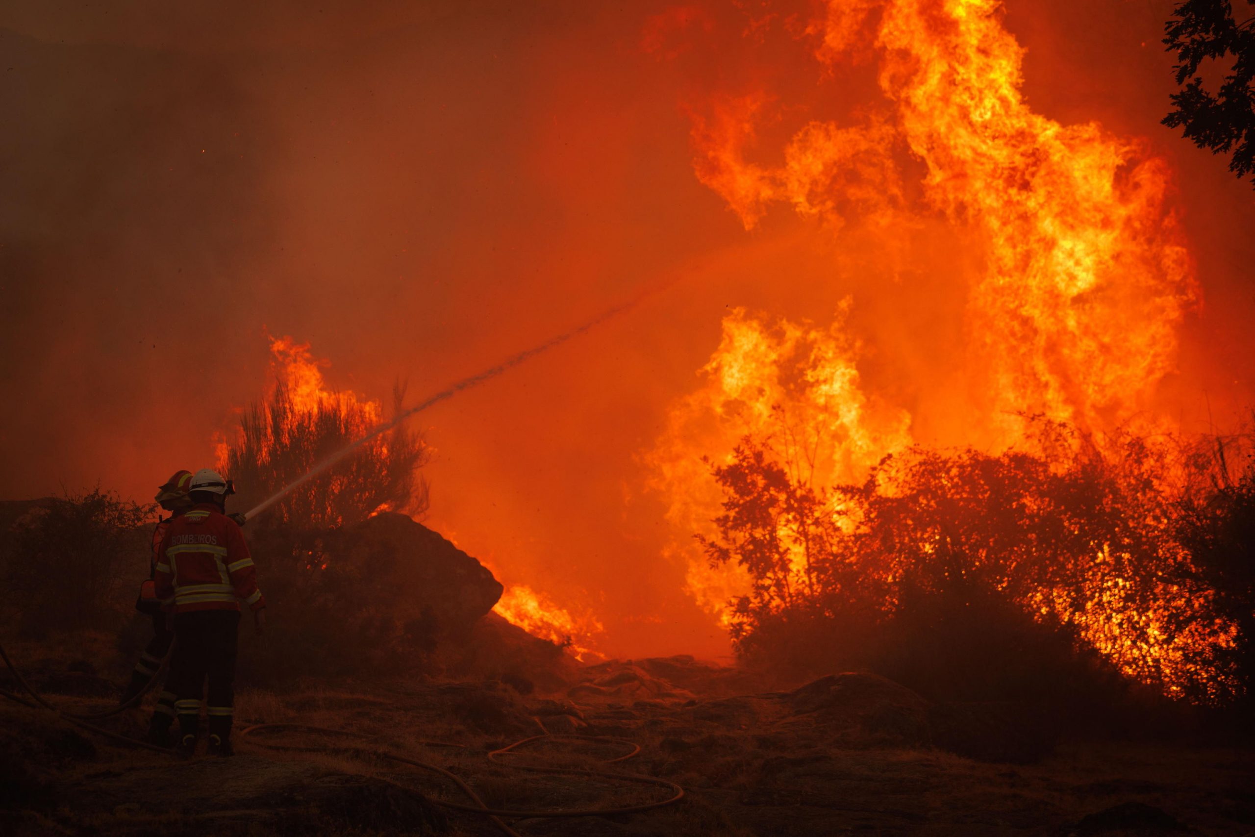 incendio nel sud della francia almeno un morto e nove feriti