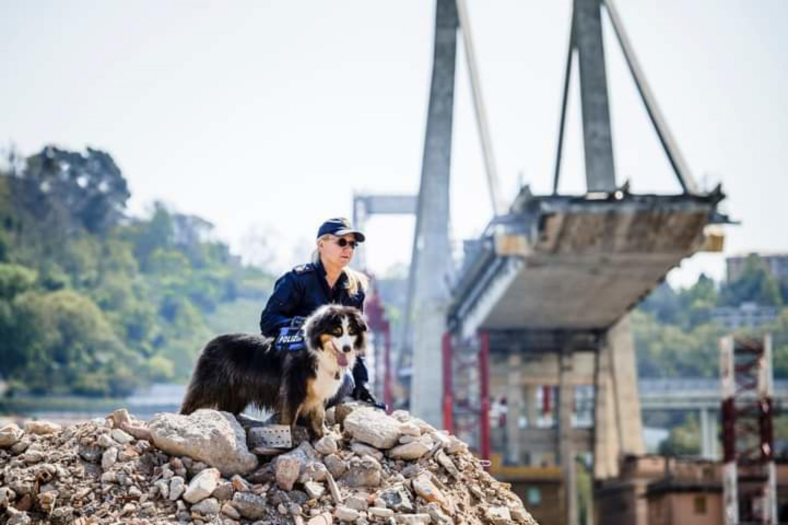 sette anni fa la tragedia del ponte morandi a genova