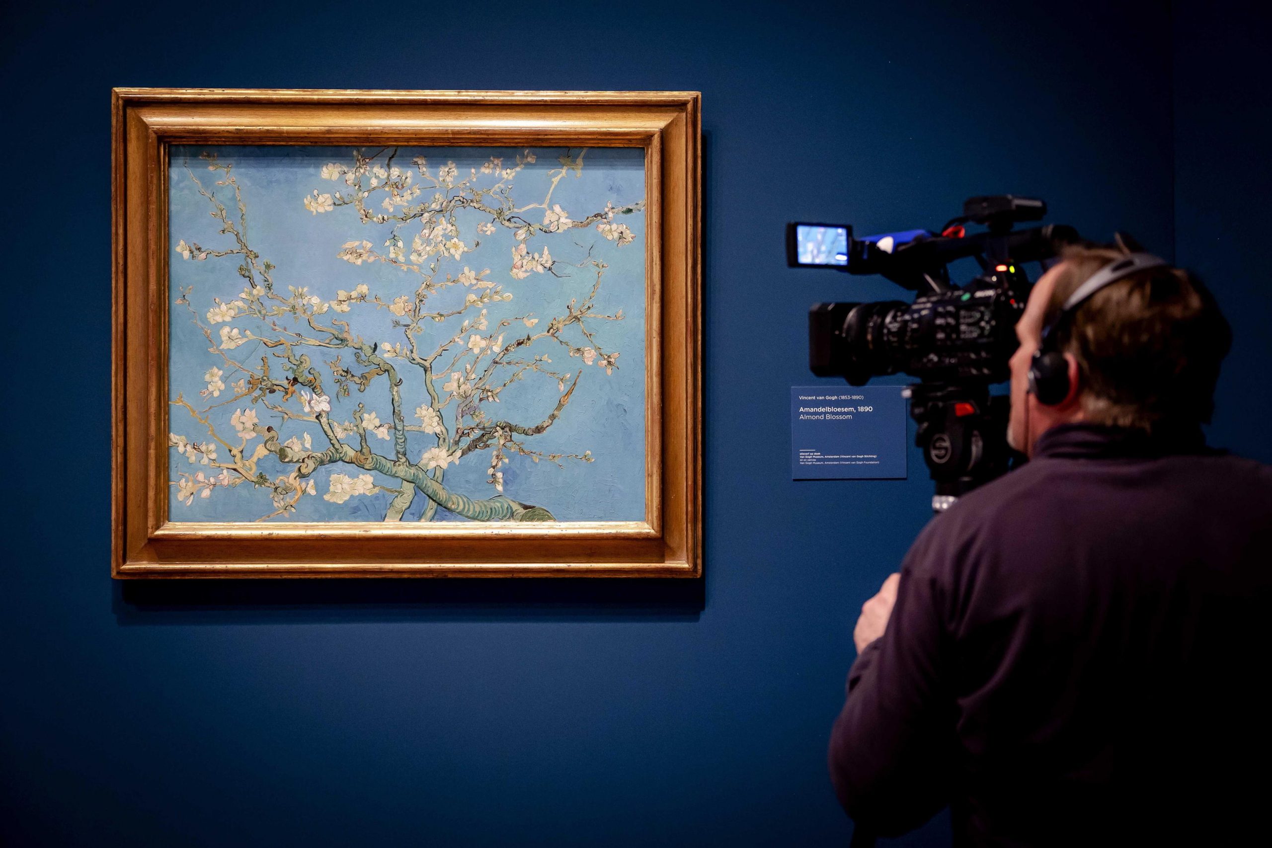 Van Gogh rischia lo sfratto: museo verso la chiusura Van Gogh rischia lo sfratto: museo verso la chiusura