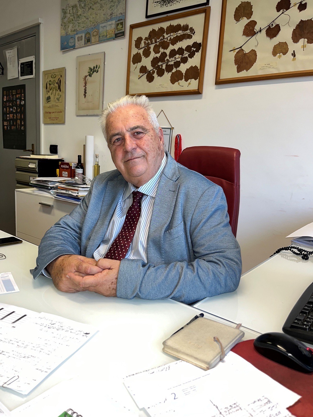 Intervista al Presidente dell’Accademia Italiana della Vite e del Vino, Rosario Di Lorenzo Intervista al Presidente dell’Accademia Italiana della Vite e del Vino, Rosario Di Lorenzo
