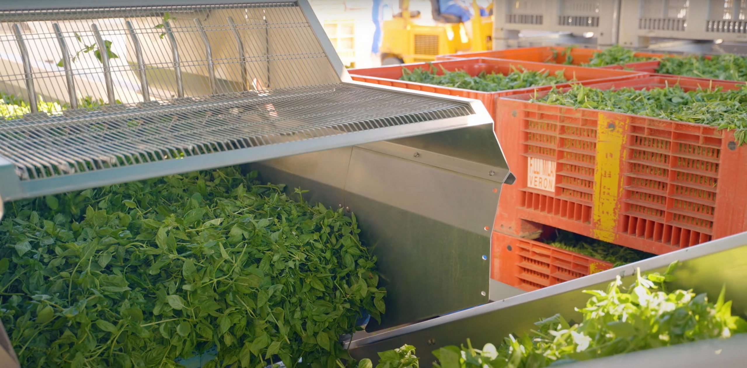 agroalimentare preoccupazione per dazi ma speranza nel governo