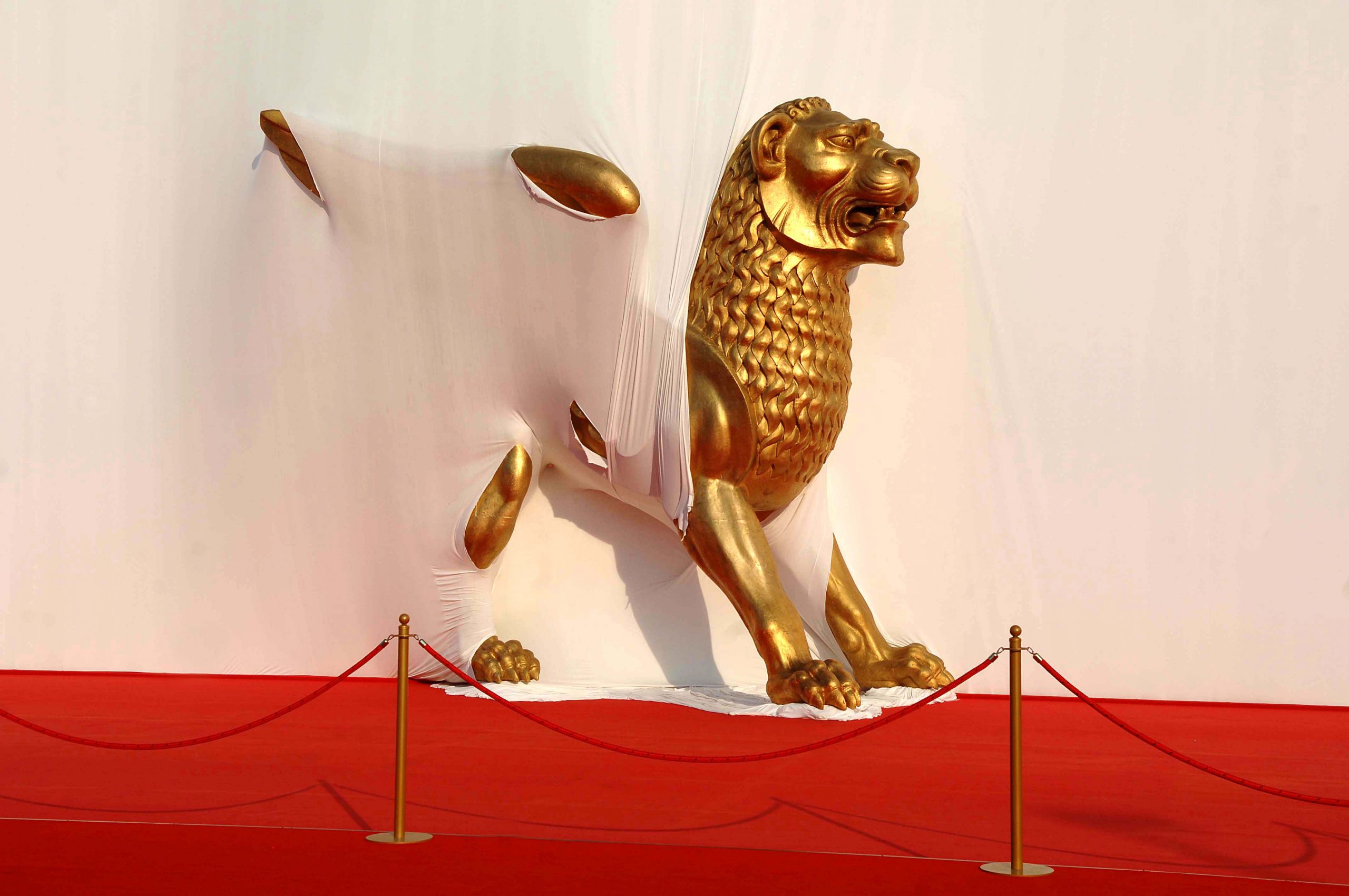 venezia 82 il termometro del cinema i favoriti al leone d8217oro