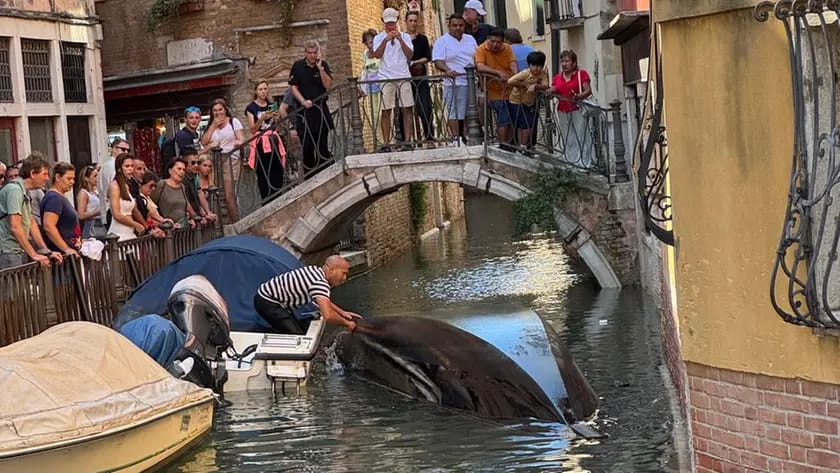 Una gondola si rovescia, ma Venezia resta in equilibrio