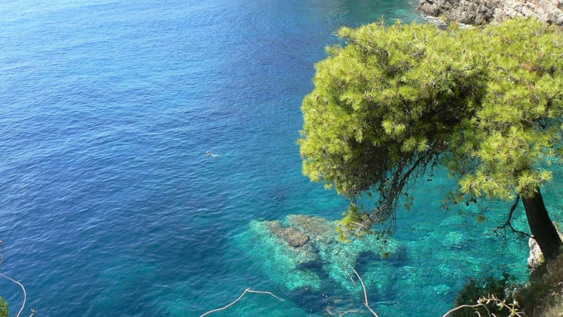 fare il bagno nel mar adriatico 232 poi cos236 sicuro