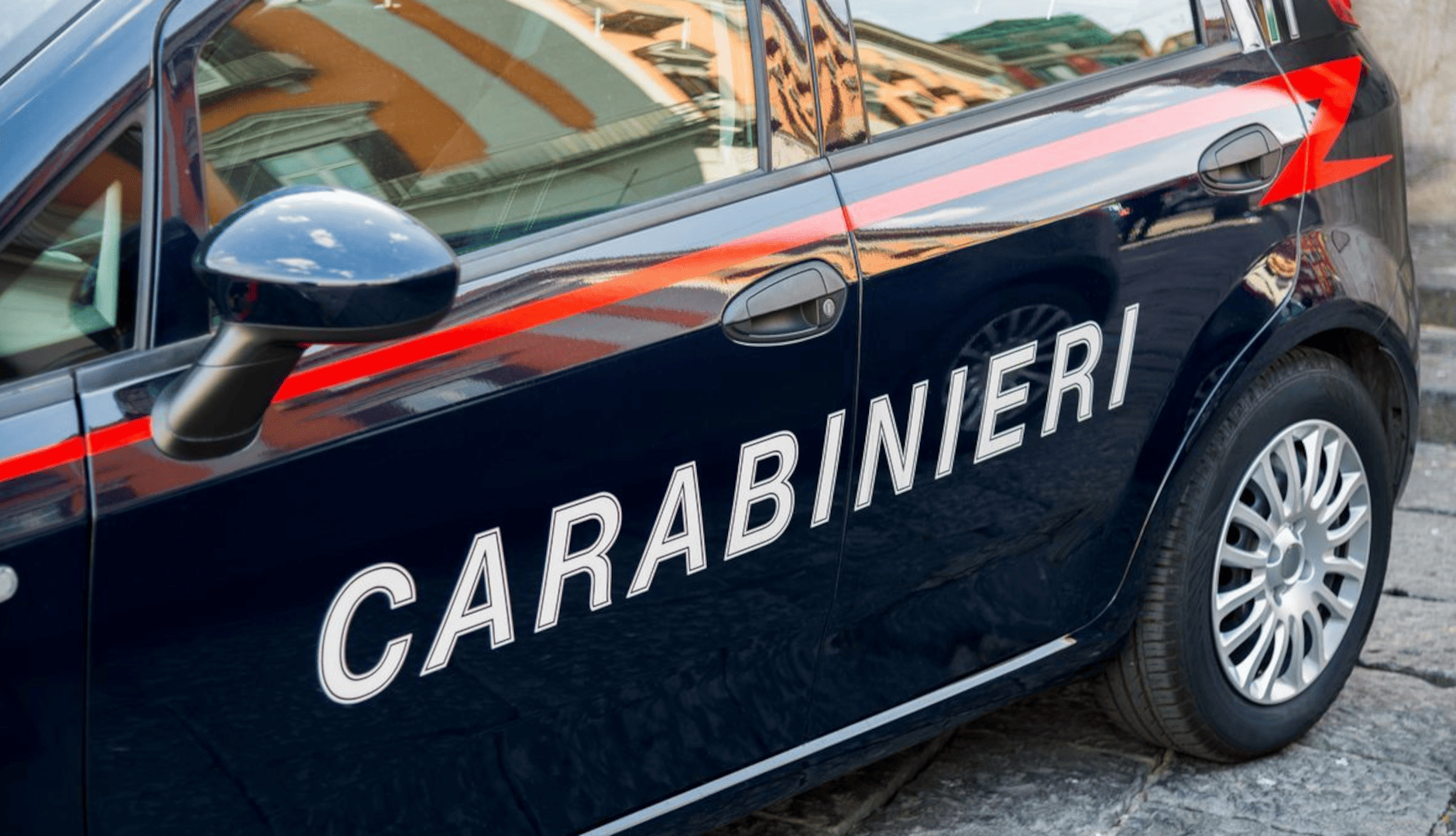 Extracomunitario a Naro, orrore senza precedenti: cane sgozzato in strada Extracomunitario a Naro, orrore senza precedenti: cane sgozzato in strada