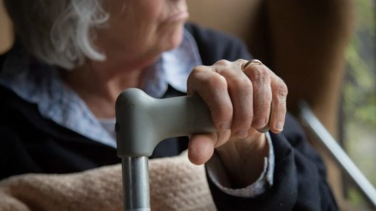 Vergogna a Padova: cinque minorenni contro una donna disabile Vergogna a Padova: cinque minorenni contro una donna disabile