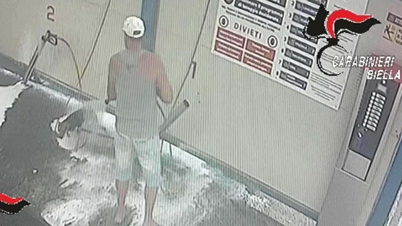 lava il cane all8217autolavaggio denunciato 57enne a biella