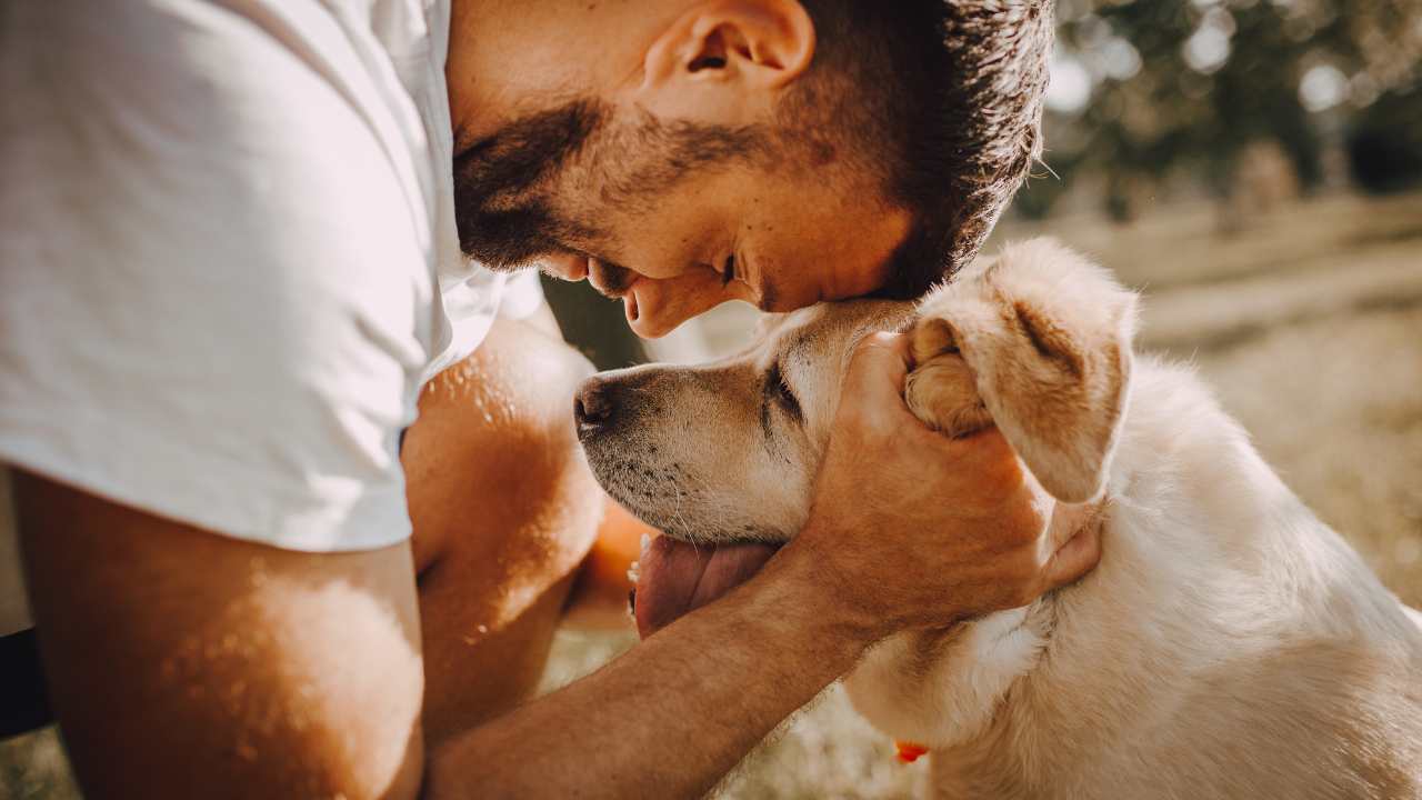 oggi 232 la giornata mondiale del cane