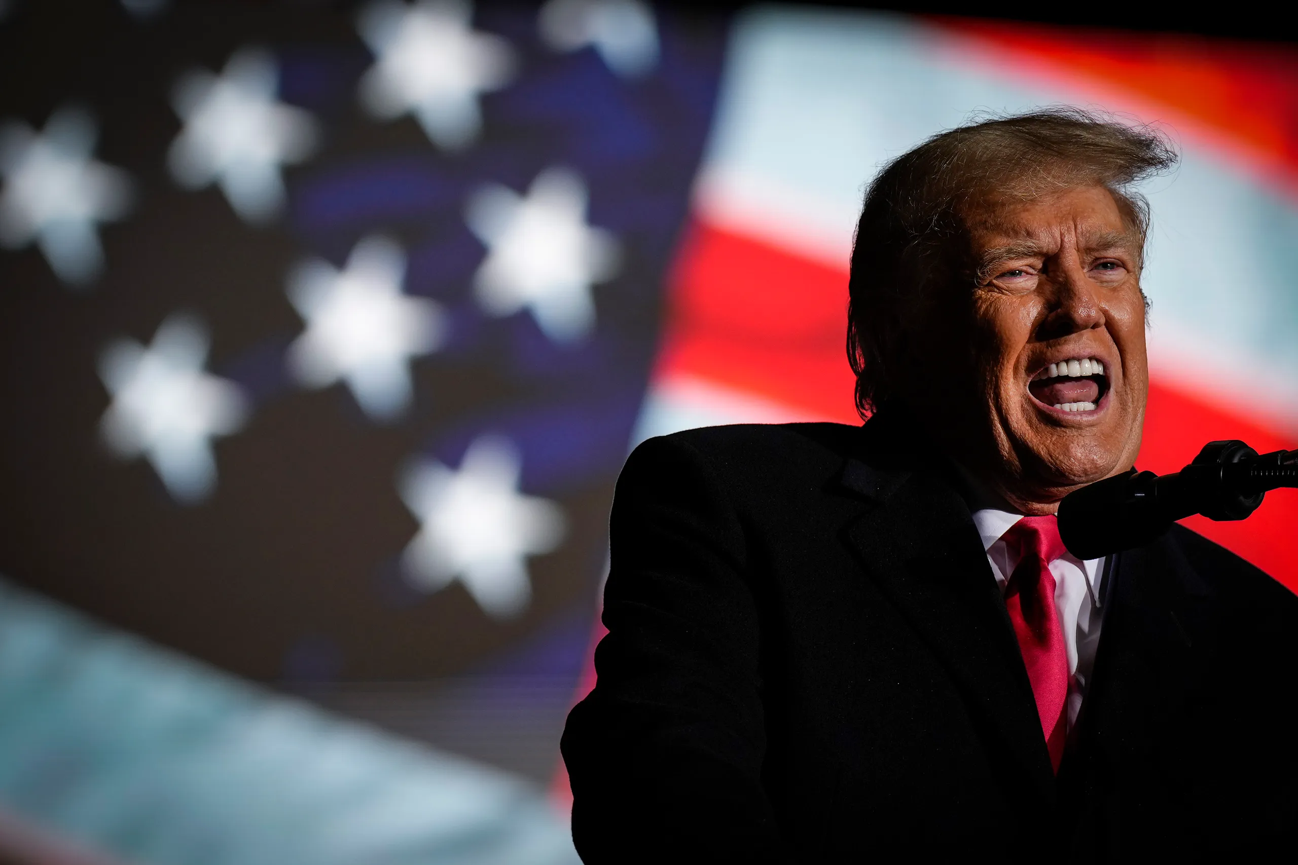 Il tappeto e il “tappetino” Trump: le top news del dopo Ferragosto