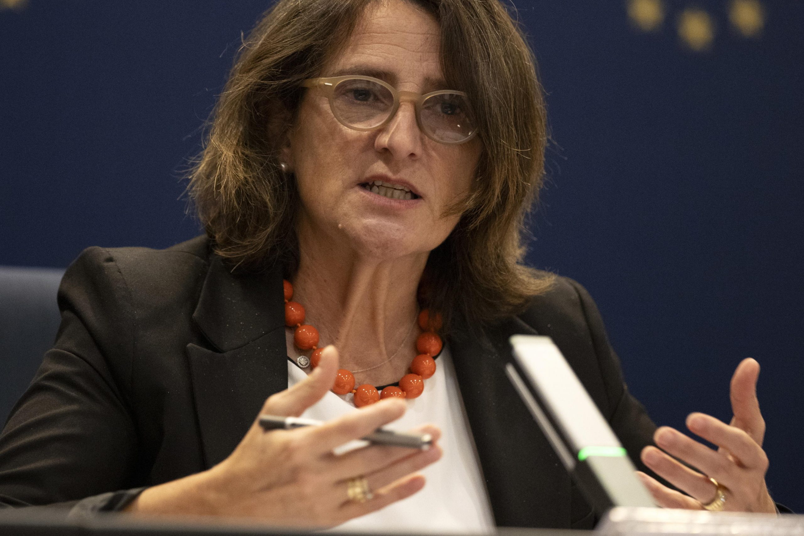 Ribera espone la Commissione Ue: “A Gaza è genocidio” Ribera espone la Commissione Ue: “A Gaza è genocidio”