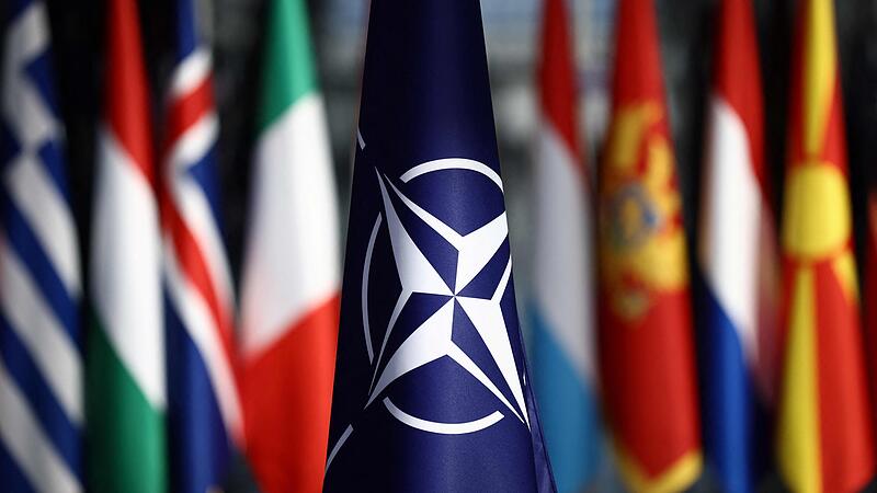 letture veloci con l8217elmetto l8217articolo 4 della nato