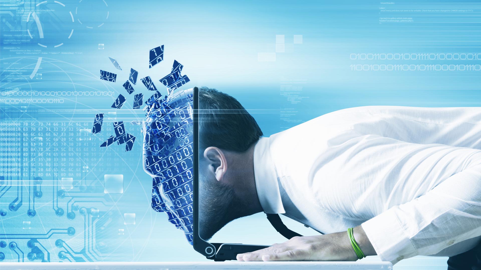 “Asini digitali”: c’è molto da fare “Asini digitali”: c’è molto da fare