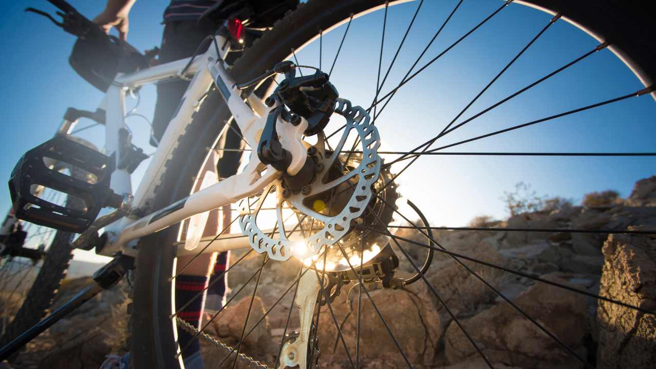 Un anello sui Colli Euganei: tra buon cibo, e bike e storia Un anello sui Colli Euganei: tra buon cibo, e bike e storia