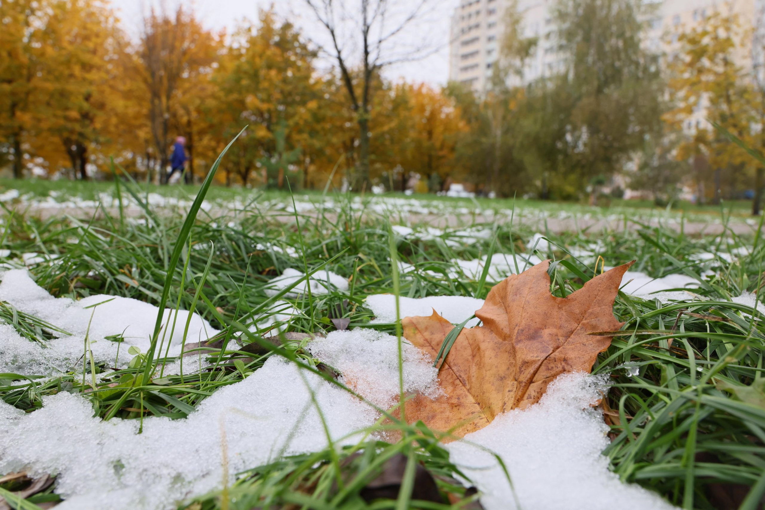 meteo ottobre russo in arrivo freddo e crollo delle temperature