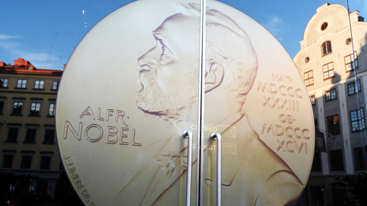 Nobel per la Medicina 2025, premiate le ricerche sulla tolleranza immunitaria