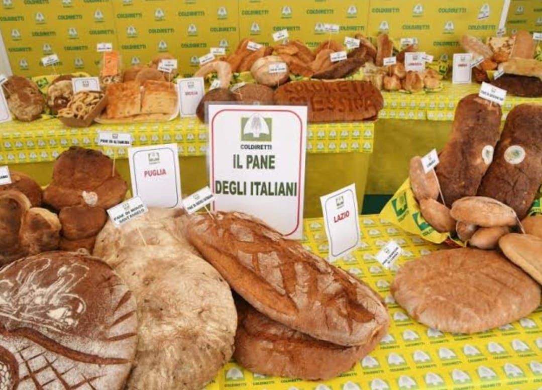 Ecco la nuova pasta e il nuovo pane della filiera del grano torinese di Stupinigi