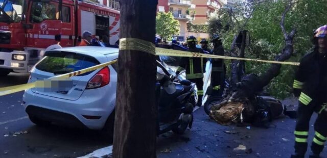Una donna travolta e uccisa da un platano caduto a Roma. Sei feriti in ...