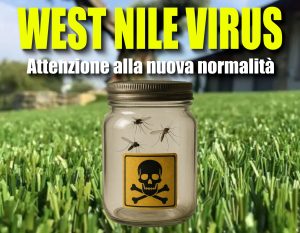 west nile allarme oristano