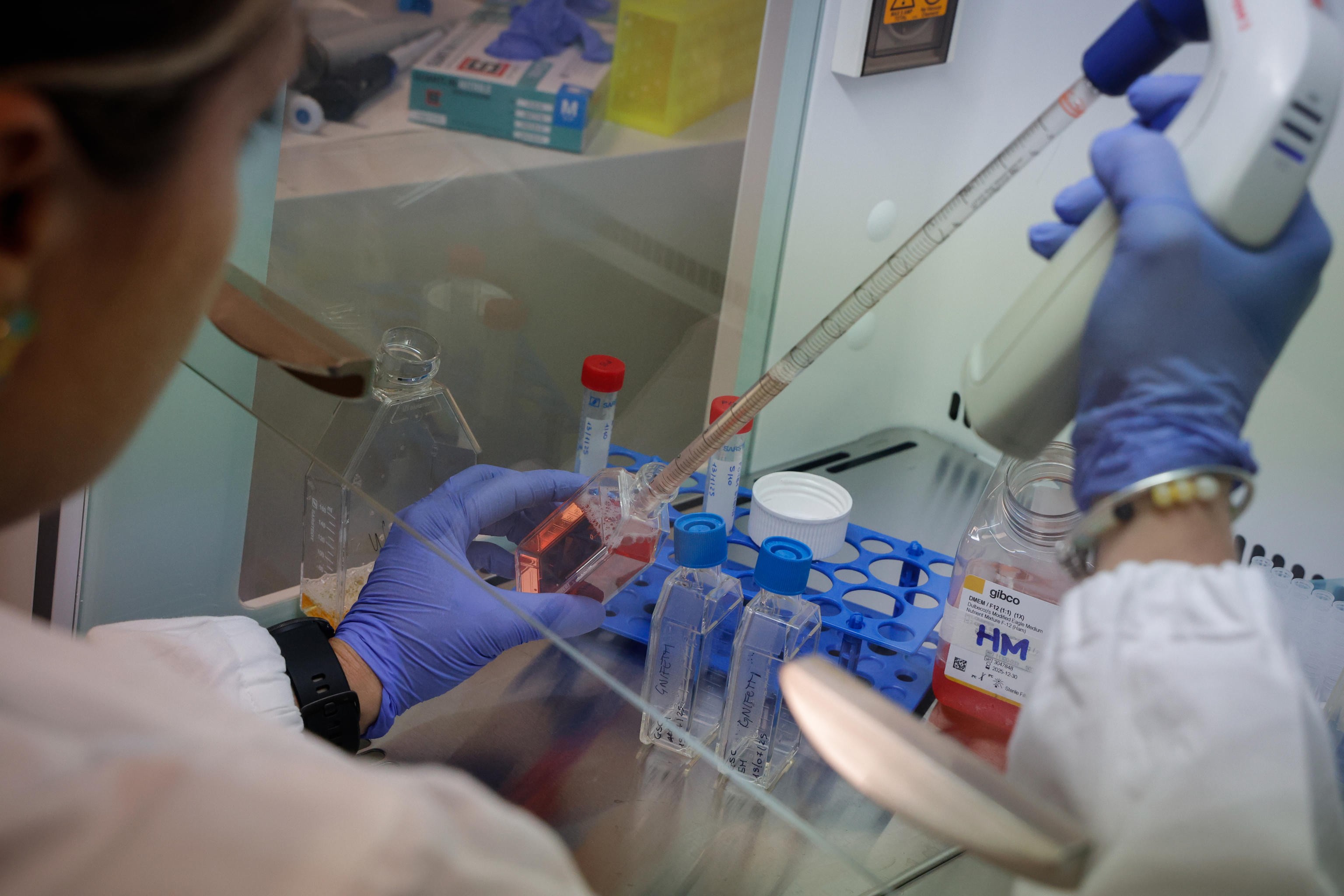 Bruna Corradetti: ogni giorno, la ricerca della meraviglia Bruna Corradetti: ogni giorno, la ricerca della meraviglia