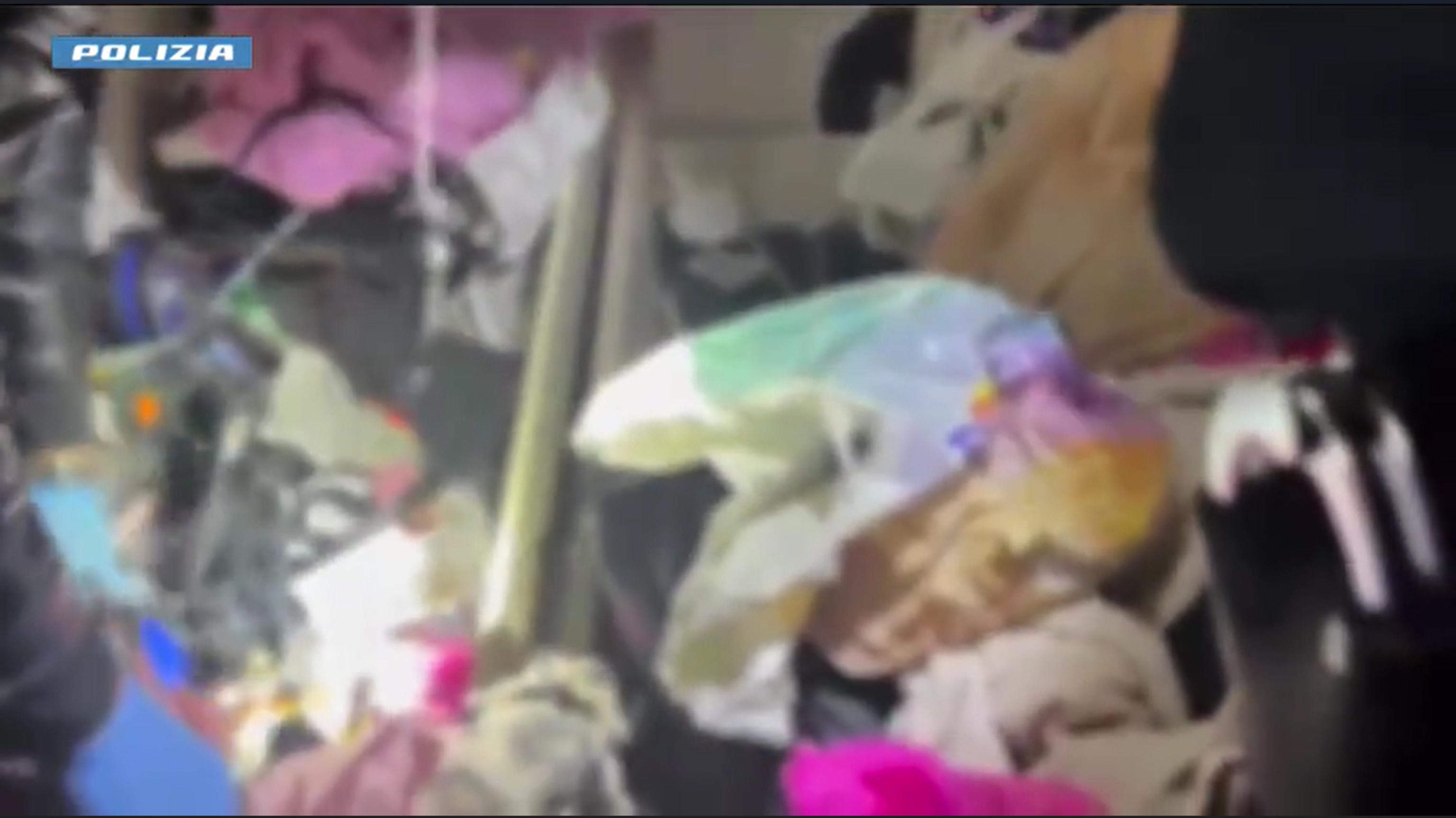 Prostituzione: sgominata la banda del “lover boy”