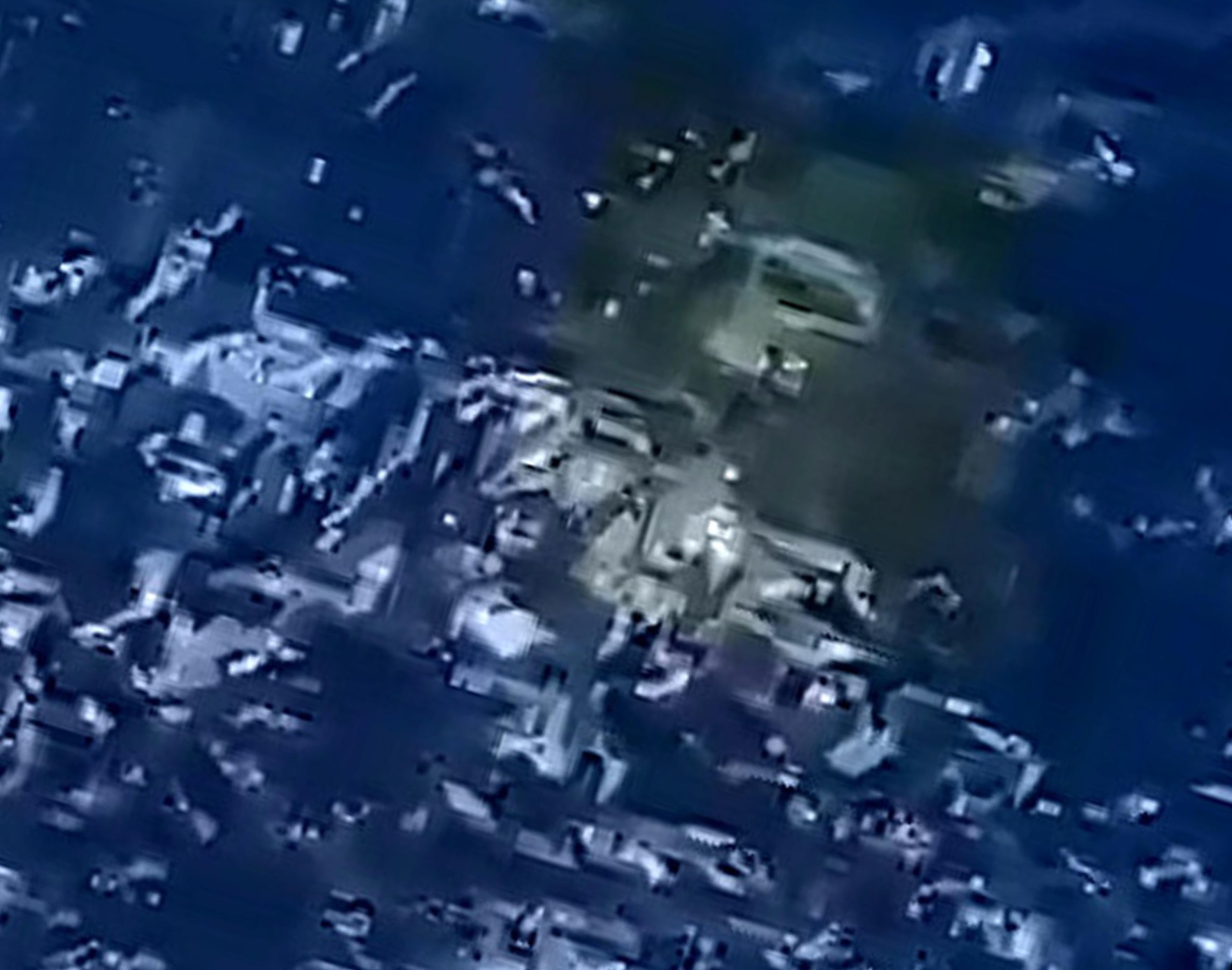 i capodogli parlano ecco il loro alfabeto