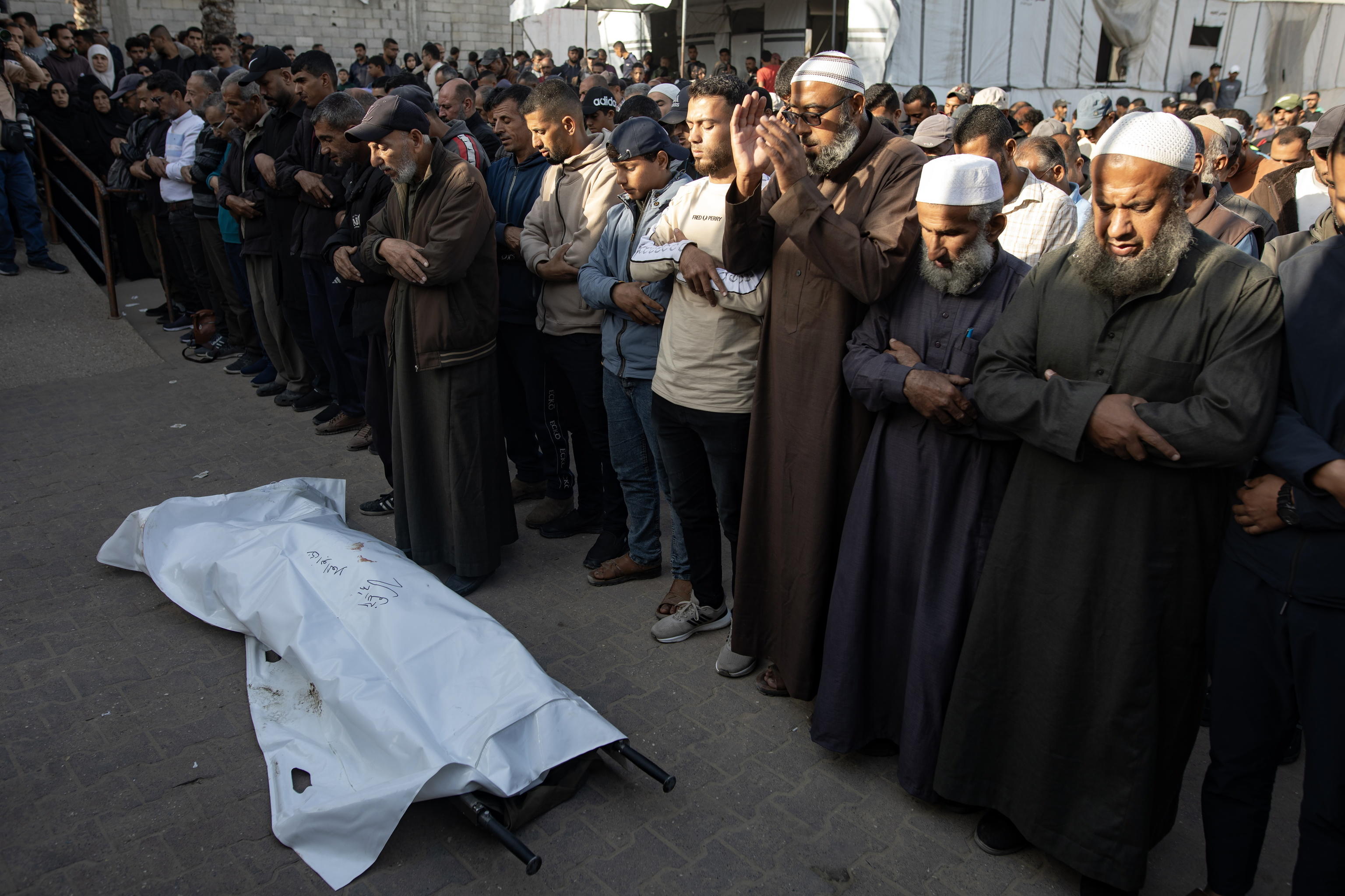 La striscia di sangue si allunga. Altri studenti universitari palestinesi in Italia