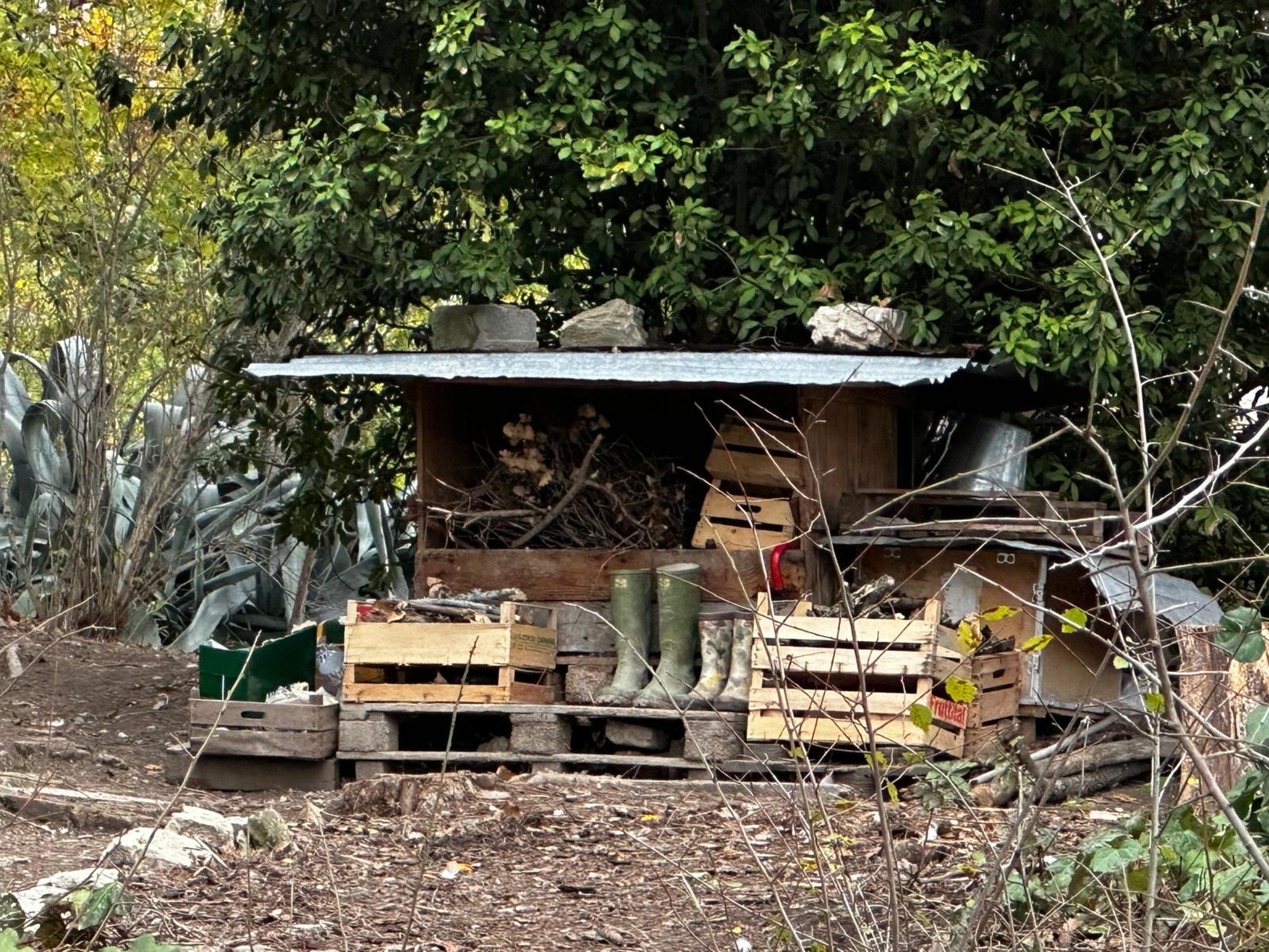 campoli il comune torna ad offrire una casa in paese alla coppia che vive nei boschi