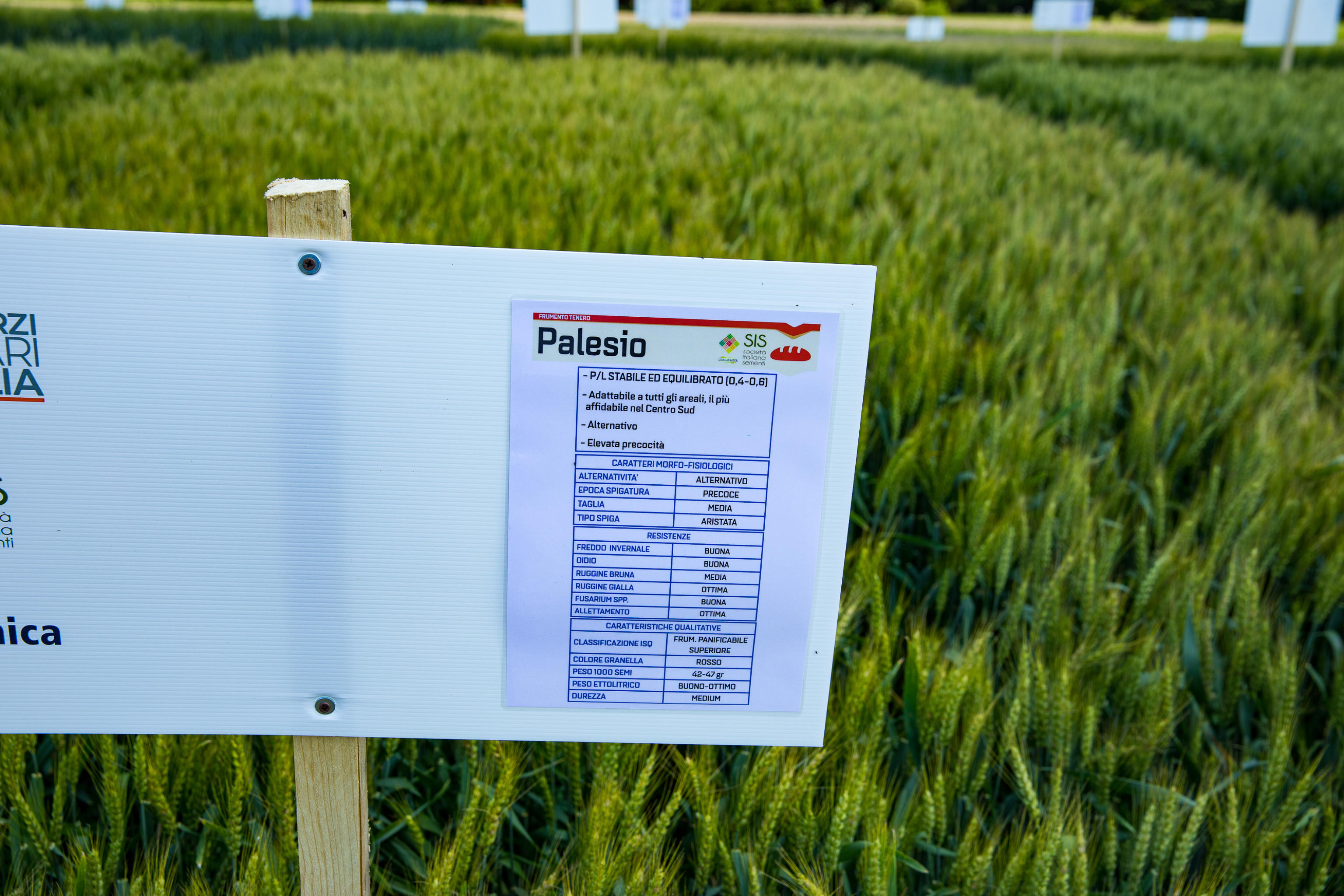 Enpaia sorride: patrimonio da 2 miliardi e oltre 9mila imprese agricole