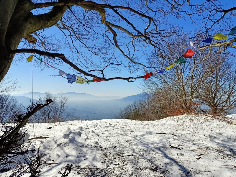 La foresta di Roccarainola, museo all’aperto. Tony Afeltra apre lo sguardo sul paesaggio La foresta di Roccarainola, museo all’aperto. Tony Afeltra apre lo sguardo sul paesaggio