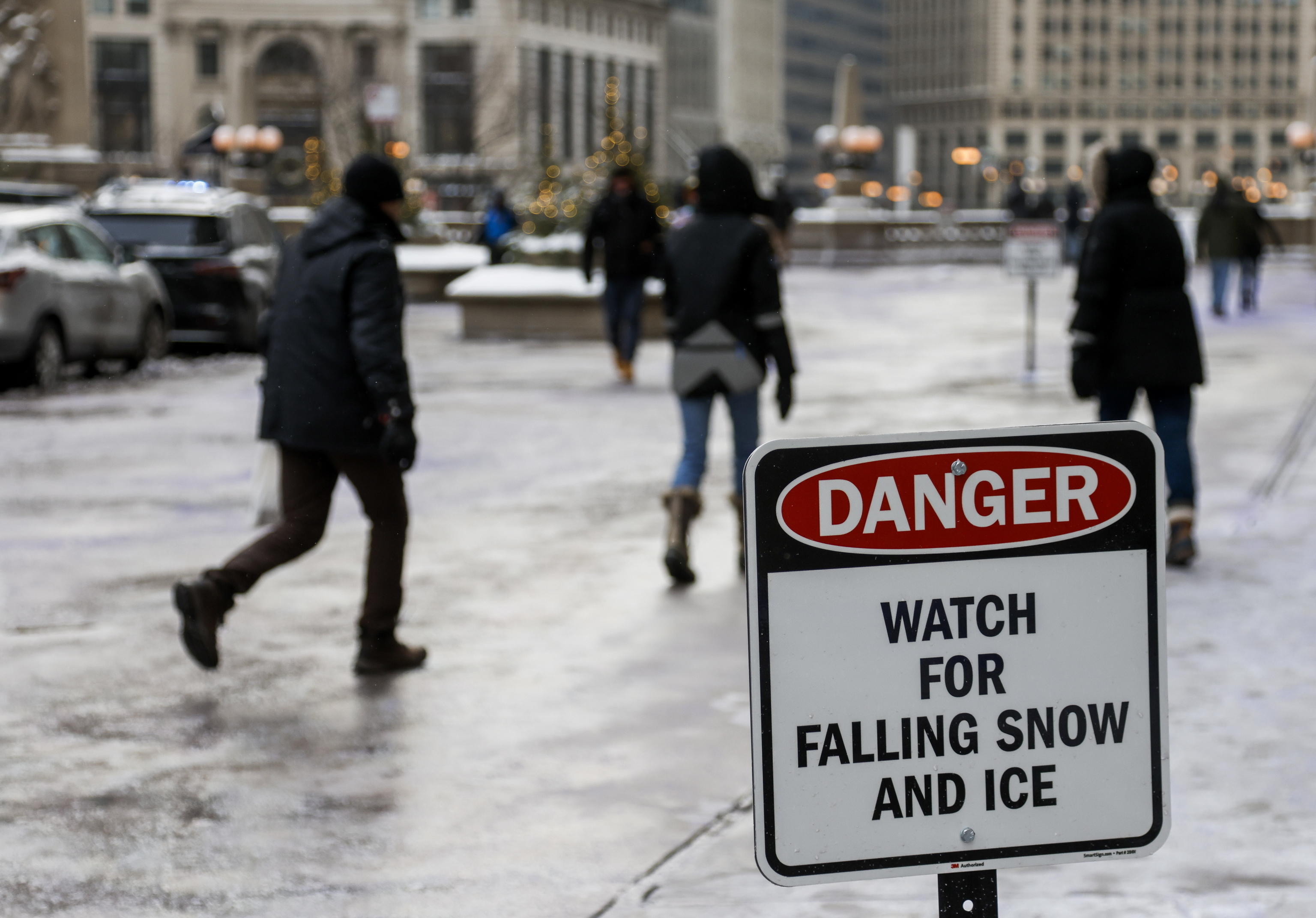 Gelo e freddo negli Usa I VIDEO di Chicago e dello zoo sotto la neve